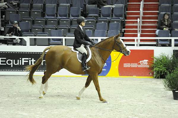 WIHS-10-26-10-Cl13-RgConfHtr-7554-Quintessential-IsabellaNorton-DDeRosaPhoto.jpg