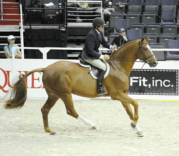 WIHS-10-26-10-Cl13-RgConfHtr-7566-Nickleback-HaroldChopping-DDeRosaPhoto.jpg