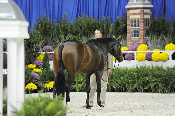 WIHS-10-26-10-Cl13-RgConfHtr-7585-DDeRosaPhoto.jpg