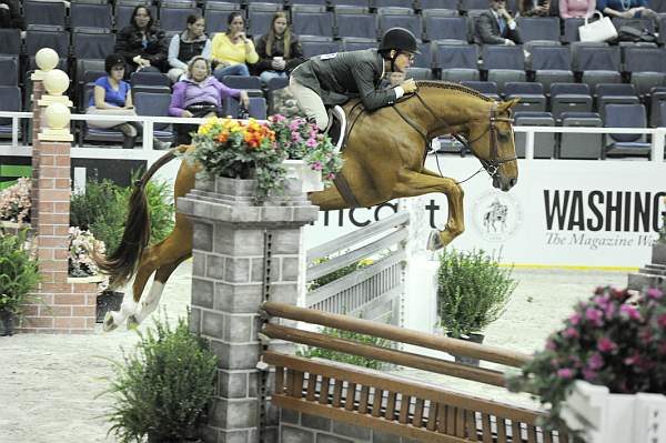 WIHS1-10-26-10-Cl12-RgConfHtr-7410-Pringle-JohnFrench-DDeRosaPhoto.jpg