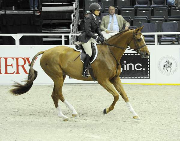 WIHS1-10-26-10-Cl12-RgConfHtr-7427-Quintin-HavensSchatt-DDeRosaPhoto.jpg