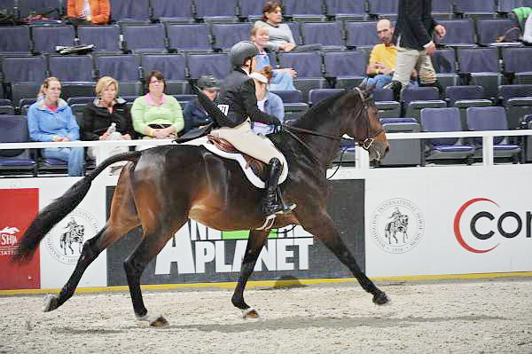 WIHS2-10-27-10-Cl44-RgWkgHtrStke-0359-RockStar-LouiseSerio-DDeRosaPhoto.jpg