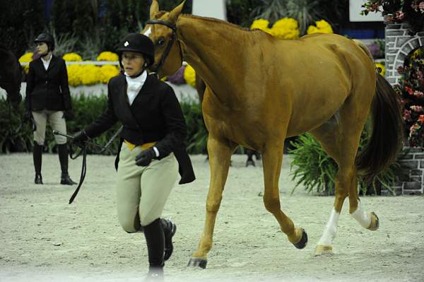 WIHS2-10-27-10-Cl44-RgWkgHtrStke-0407-DDeRosaPhoto.jpg