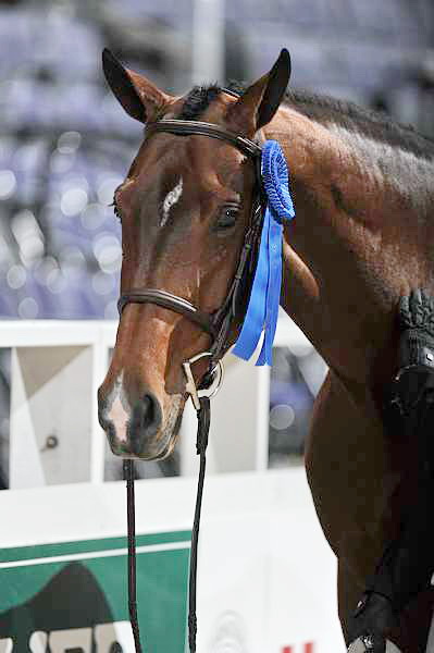 WIHS2-10-27-10-Cl44-RgWkgHtrStke-0427-Rosalynn-KelleyFarmer-DDeRosaPhoto.jpg