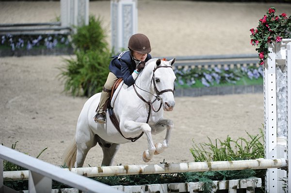 WIHS3-10-31-10-9273-SilverRain-MadelineSchaefer-DDeRosaPhoto.jpg