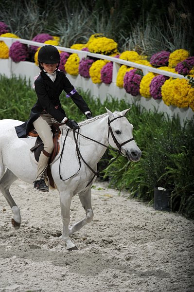 WIHS3-10-31-10-9362-ChurchMouse-CarlyHoft-DDeRosaPhoto.jpg