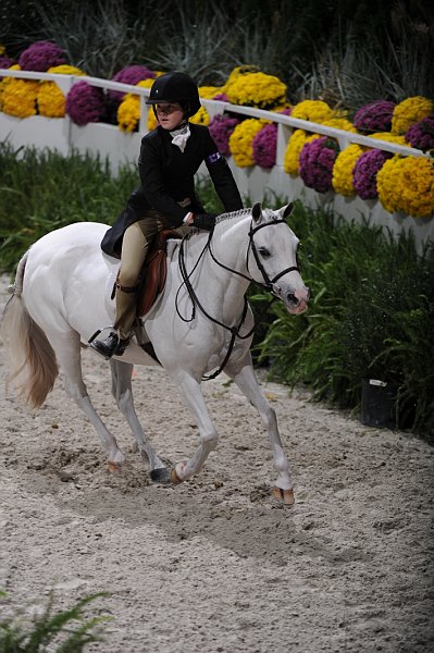 WIHS3-10-31-10-9382-FirstEdition-BergenSanderford-DDeRosaPhoto.jpg