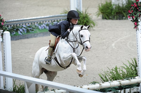 WIHS3-10-31-10-Cl103-SmPnyHtr-0001-FirstEdition-BergenSanderford-DDeRosaPhoto.jpg