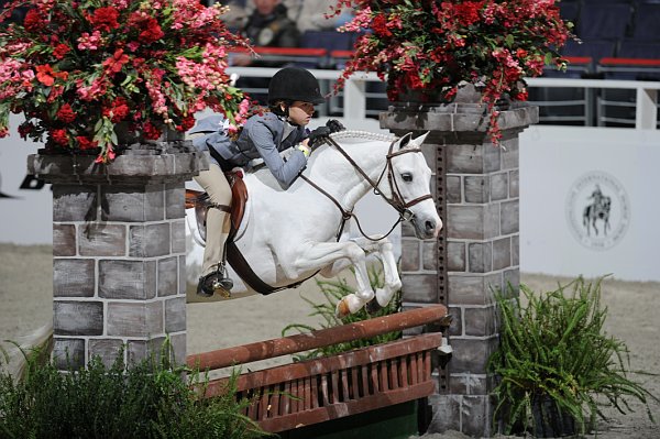 WIHS3-10-31-10-Cl103-SmPnyHtr-9143-DDeRosaPhoto.jpg