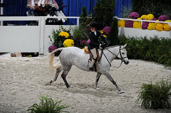 WIHS3-10-31-10-Cl103-SmPnyHtr-9158-HillcrestsLorelei-CharlotteCurrey-DDeRosaPhoto.jpg