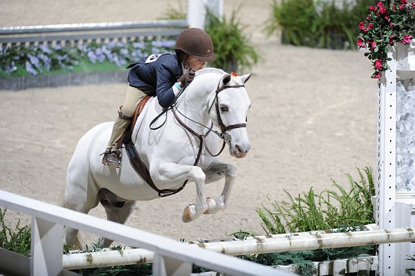 WIHS3-10-31-10-Cl103-SmPnyHtr-9170-SilverRain-MadelineSchaefer-DDeRosaPhoto.jpg