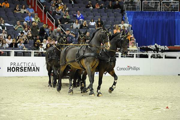 WIHS2-10-28-10-4670-ChesterWeber-DDeRosaPhoto.jpg