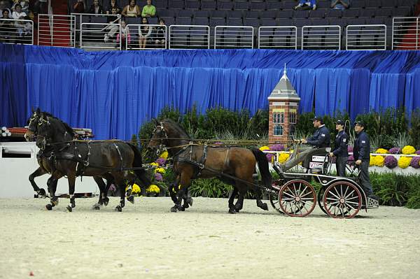 WIHS2-10-28-10-4673-ChesterWeber-DDeRosaPhoto.jpg