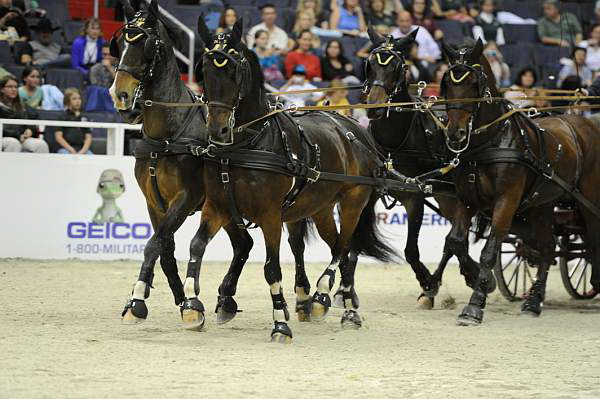 WIHS2-10-28-10-4690-ChesterWeber-DDeRosaPhoto.JPG