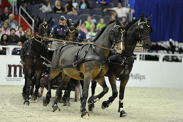 WIHS2-10-28-10-4713-ChesterWeber-DDeRosaPhoto.jpg