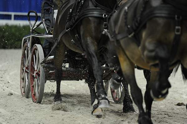 WIHS2-10-28-10-4730-ChesterWeber-DDeRosaPhoto.jpg