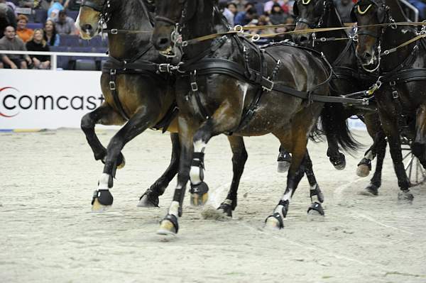 WIHS2-10-28-10-4735-ChesterWeber-DDeRosaPhoto.jpg