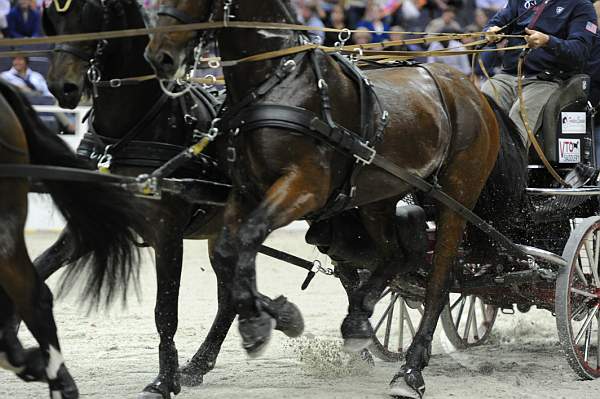 WIHS2-10-28-10-4736-ChesterWeber-DDeRosaPhoto.jpg