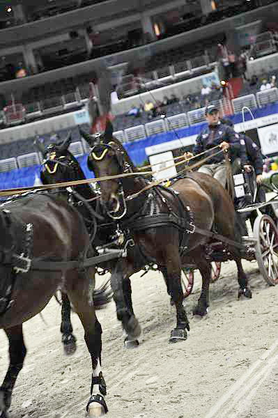 WIHS2-10-28-10-DSC_7922-ChesterWeber-DDeRosaPhoto.jpg