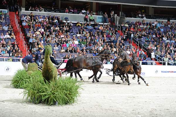 WIHS2-10-30-10-8668-ChesterWeber-DDeRosaPhoto.jpg