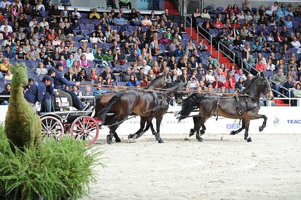 WIHS2-10-30-10-8670-ChesterWeber-DDeRosaPhoto.jpg