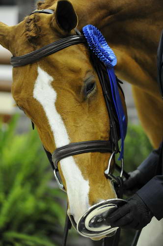 WIHS1-10-26-10-Cl42-RgWkgHtr-8553-JerseyBoy-JenniferAlfano-DDeRosaPhoto.jpg