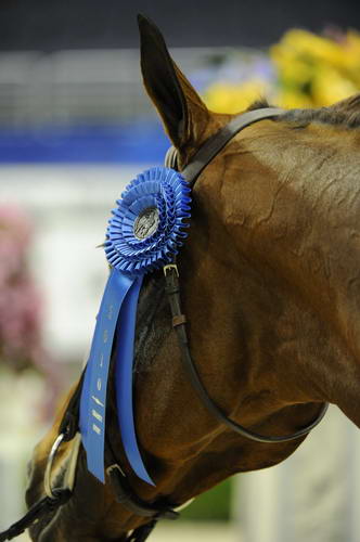 WIHS1-10-26-10-Cl43-RgWkgHndyHtr-8668-Rosalynn-DDeRosaPhoto.jpg