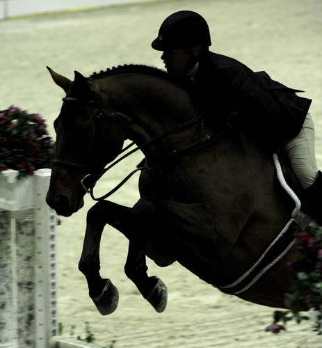 WIHS1-10-26-10-Cl52-A-O-Htr35-U-8718-Fielding-LindsayRentz-DDeRosaPhoto.jpg