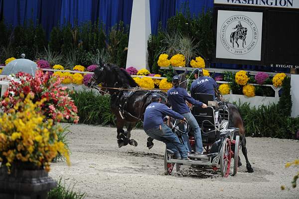 WIHS2-10-29-10-6565-ChesterWeber-DDeRosaPhoto.jpg