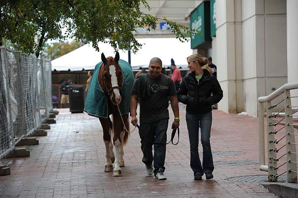 WIHS2-2010-WEG_0631-DDeRosaPhoto.jpg