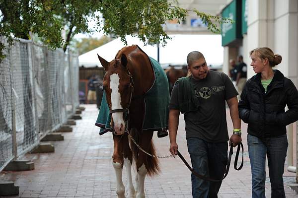 WIHS2-2010-WEG_0635-DDeRosaPhoto.jpg