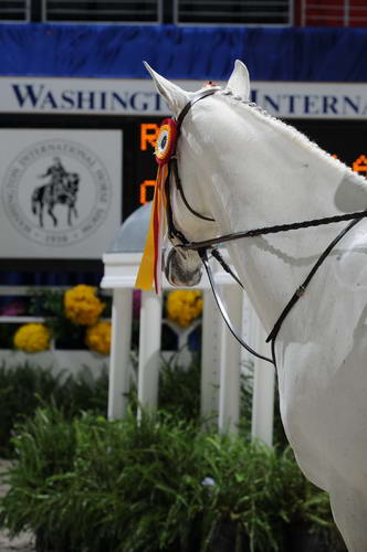 WIHS3-10-31-10-Cl191-RegHtrFinalsHrs-0403-Sailaway-AshleyChucker-DDeRosaPhoto.jpg