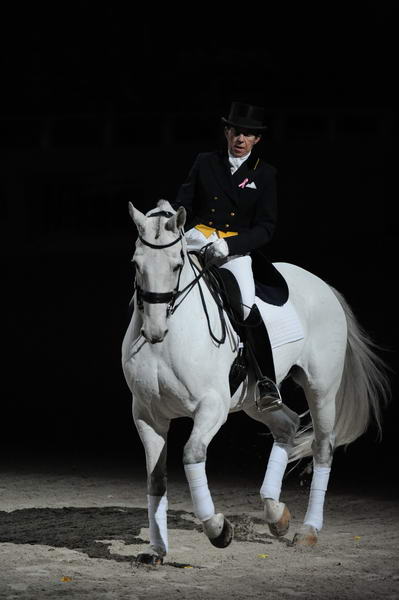 PamGoodrich-Lamborghini-WIHS2-10-29-10-6434-DDeRosaPhoto.jpg