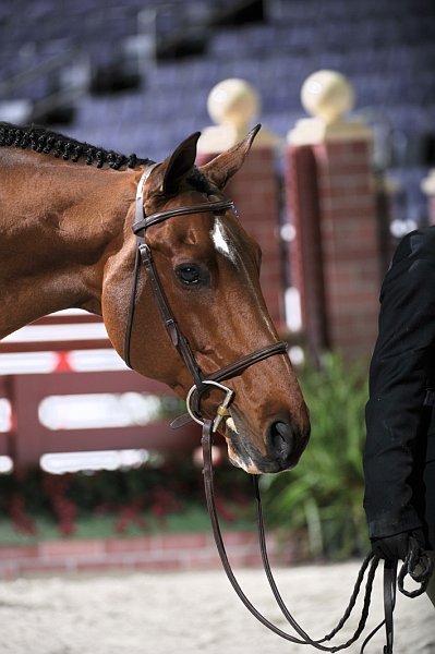 WIHS2-10-28-10-3322-Caretano-HannahGoodson-Cutt-DDeRosaPhoto.jpg