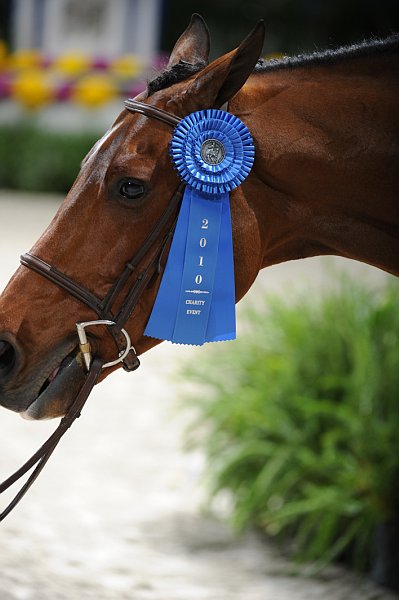 WIHS2-10-28-10-3329-Caretano-HannahGoodson-Cutt-DDeRosaPhoto.jpg