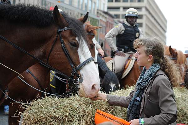 WIHS2-10-27-10-BreakfastMtdPolice-0505-DDeRosaPhoto.jpg