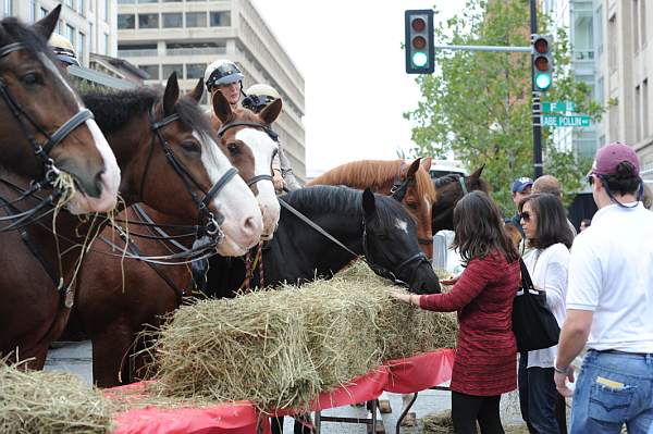 WIHS2-10-27-10-BreakfastMtdPolice-0514-DDeRosaPhoto.jpg