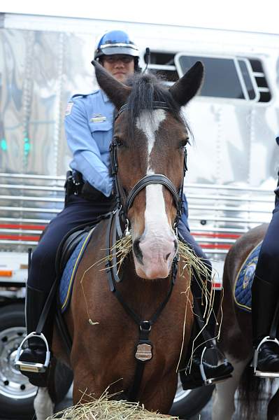 WIHS2-10-27-10-BreakfastMtdPolice-0523-DDeRosaPhoto.jpg