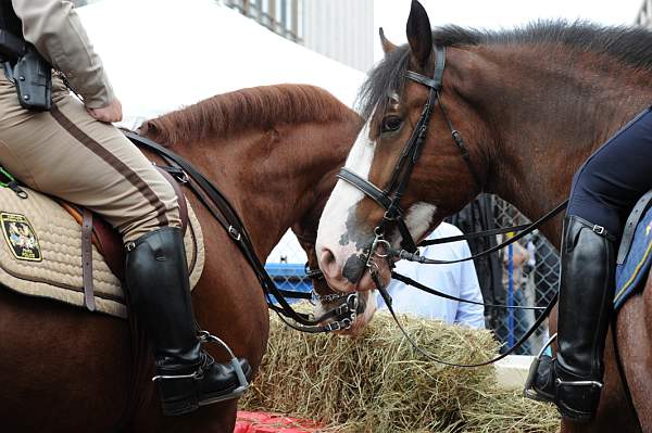 WIHS2-10-27-10-BreakfastMtdPolice-0587-DDeRosaPhoto.jpg