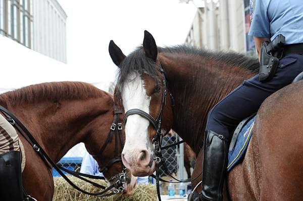 WIHS2-10-27-10-BreakfastMtdPolice-0588-DDeRosaPhoto.jpg