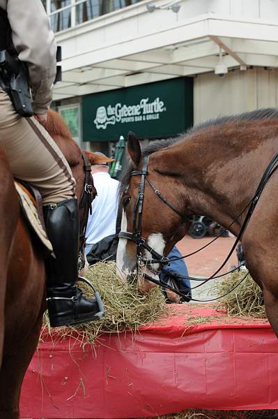 WIHS2-10-27-10-BreakfastMtdPolice-0590-DDeRosaPhoto.jpg