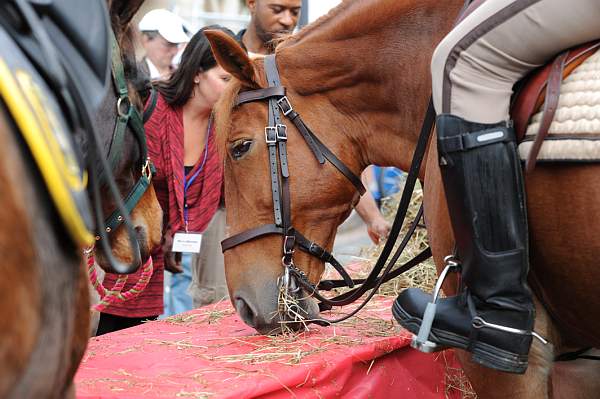 WIHS2-10-27-10-BreakfastMtdPolice-0602-DDeRosaPhoto.jpg