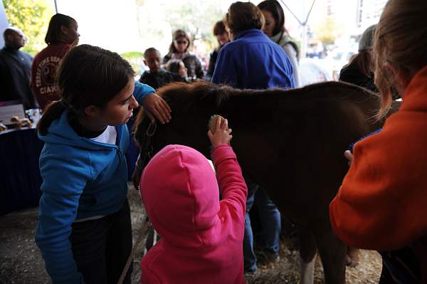 WIHS3-10-30-10-DSC_8211-KidsDay-DDeRosaPhoto.jpg