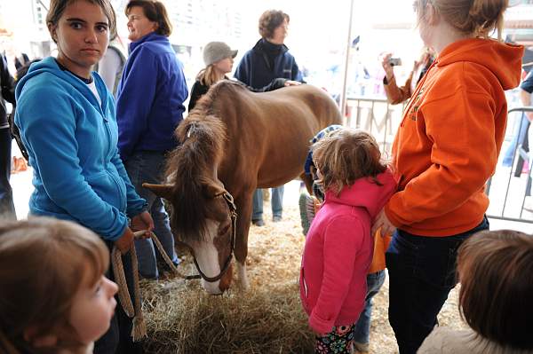 WIHS3-10-30-10-DSC_8216-KidsDay-DDeRosaPhoto.jpg