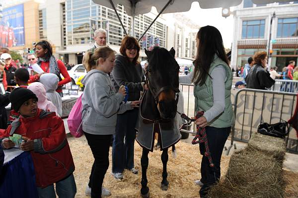 WIHS3-10-30-10-DSC_8239-KidsDay-DDeRosaPhoto.jpg