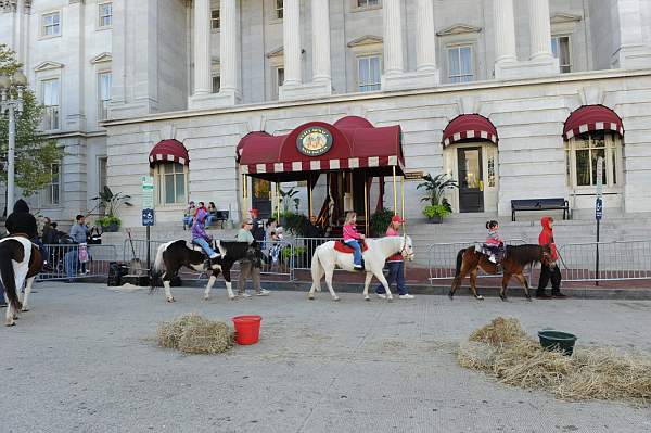 WIHS3-10-30-10-DSC_8265-KidsDay-DDeRosaPhoto.jpg