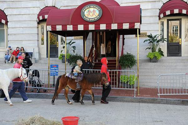 WIHS3-10-30-10-DSC_8277-KidsDay-DDeRosaPhoto.jpg