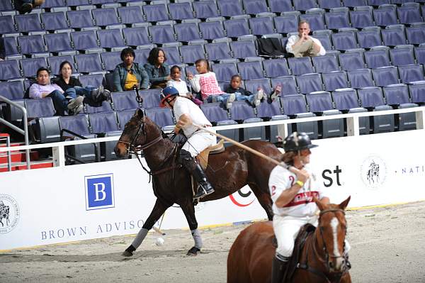 WIHS2-10-27-10-MilitaryPolo-2091-DDeRosaPhoto.jpg