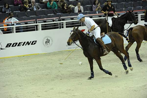 WIHS2-10-27-10-MilitaryPolo-2103-DDeRosaPhoto.jpg