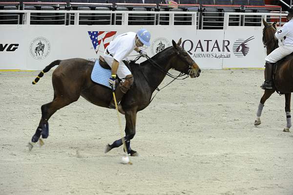 WIHS2-10-27-10-MilitaryPolo-2118-DDeRosaPhoto.jpg